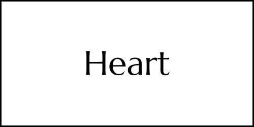 Heart